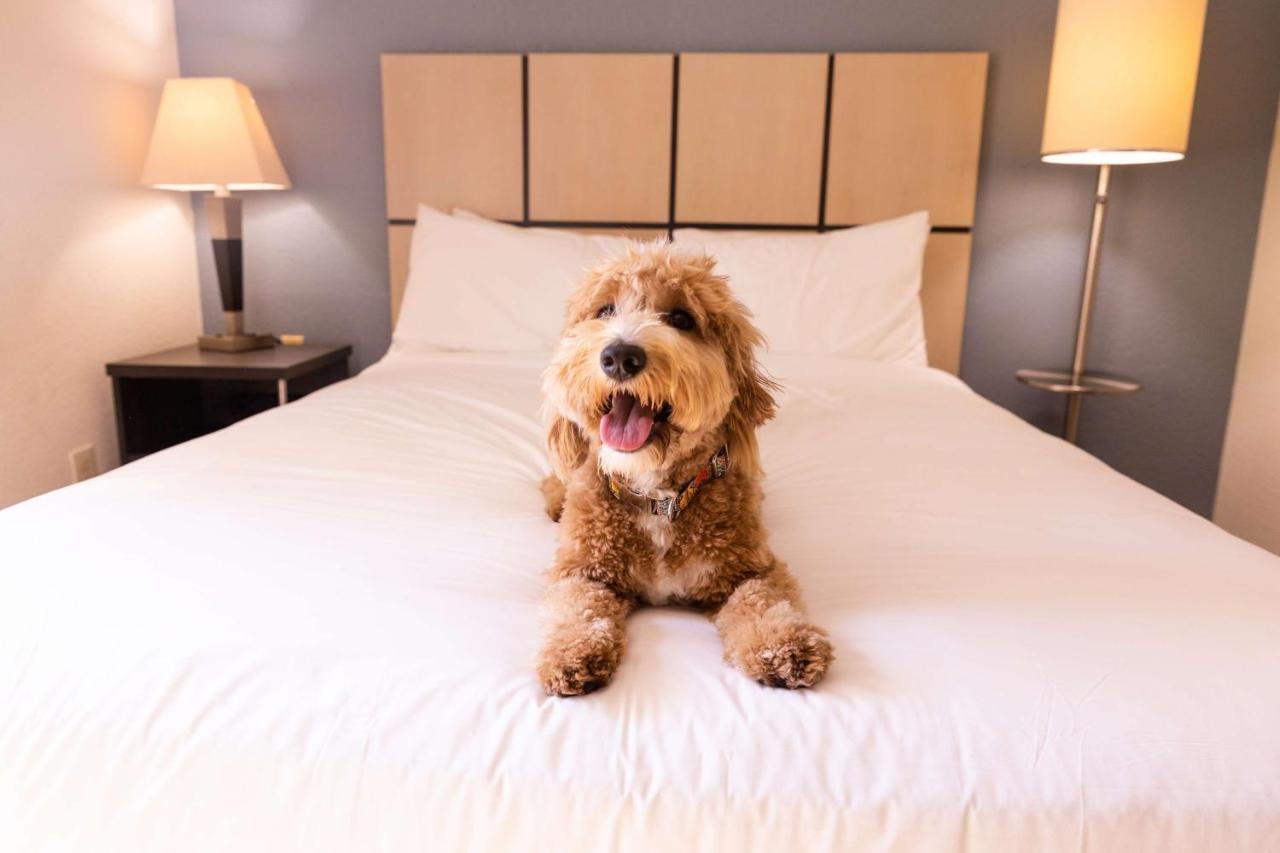 Sonesta Simply Suites Chicago Waukegan Εξωτερικό φωτογραφία